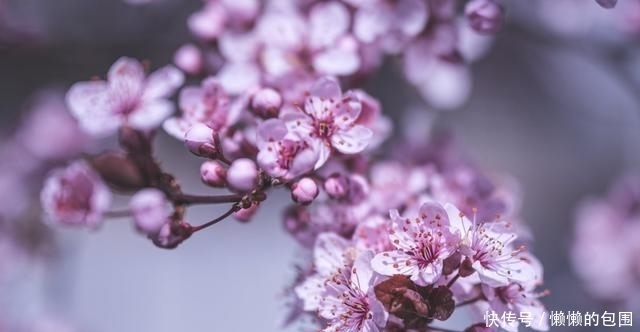 低层次|别去跟低层次的人争辩