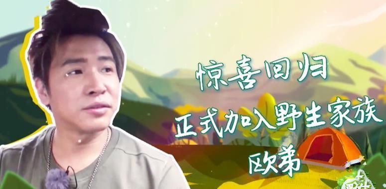  陈乔恩|陈乔恩离开了山，趁机扔下了橘子。谁会关注姜妍的细节？《暖心》