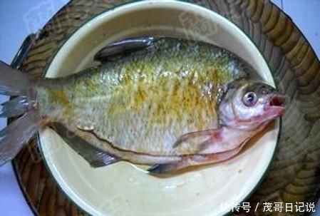 鱼含|鱼腥的“克星”是它，不是葱和姜，做鱼时加一点，鱼肉鲜嫩无腥
