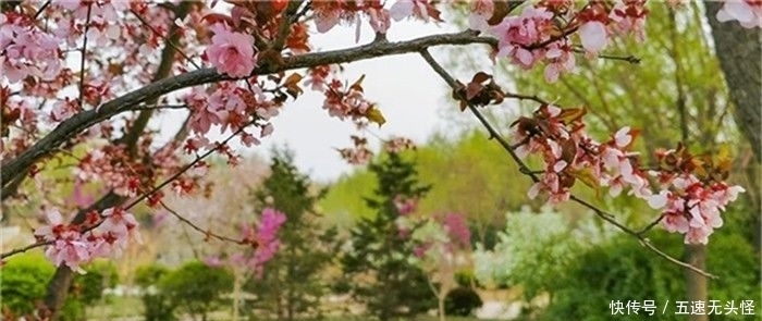 春光|全国特色小镇春光正好