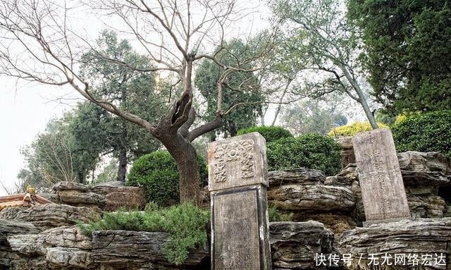 脖树|300多年过去了,那棵吊死崇祯皇帝的老歪脖树命运如何了?