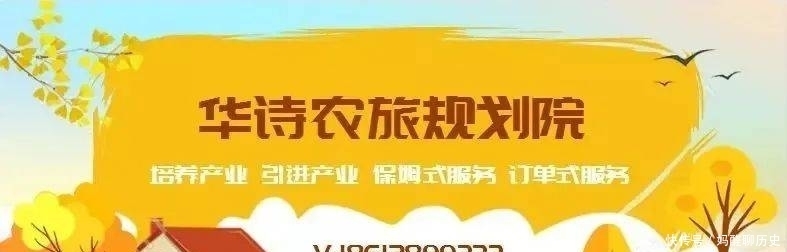 活动|休闲农业玩转户外 蔬菜美食主题活动