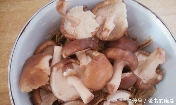 清爽|豆腐只能煎吗用“它”炖，清爽开胃，体重下降