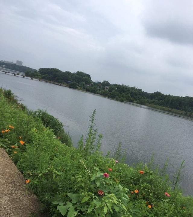 足以|竿梢常指水,足以慰风尘