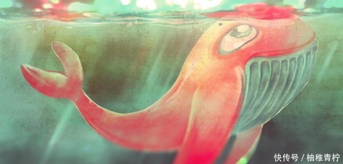  相爱|20天后桃花朵朵，思念肝肠寸断，三星座一心求和，不辜负在相爱