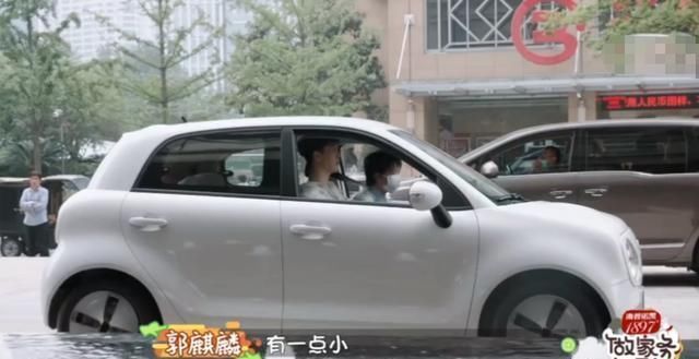  男人|《做家务的男人2》：手砸包菜被虫吓坏，范丞丞郭麒麟同居太好玩