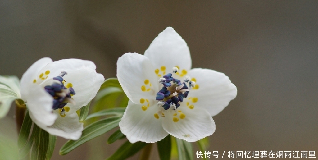  表里如一|十二星座外表和内心相差指数是多少？有人表里如一，有人深藏不露