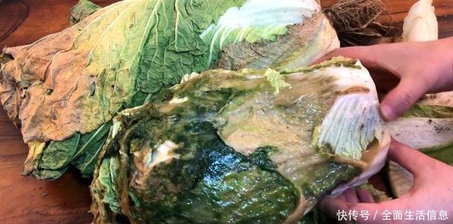 留意|爱吃白菜的人要留意了,我也是今天才刚知道,抓紧告诉身边人