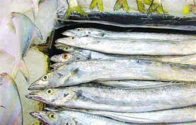 捕捞|为什么带鱼要进口，而不在东海和南海自己捕捞今天算长见识了