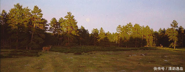 美国|美国写实主义画家斯蒂芬·杰特森油画作品欣赏