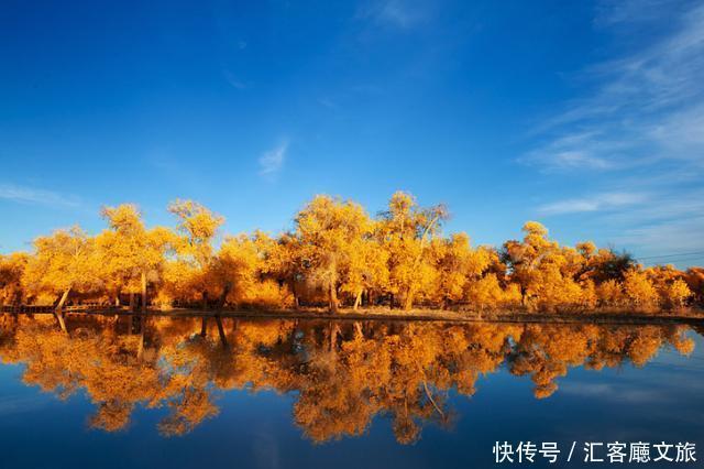 热烈|等待一年,只为胡杨林21天的极致灿烂和浓烈!