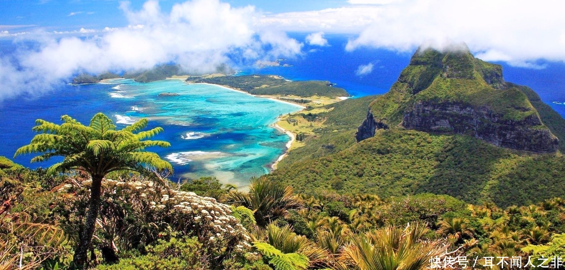 担惊受怕|周枫先生:人为什么会总是担惊受怕?