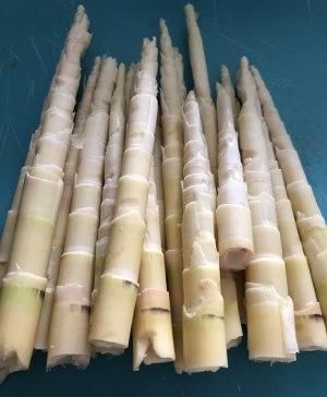 猪脚|山笋煨土猪脚,新鲜土猪脚配上高山脆笋尖,好吃