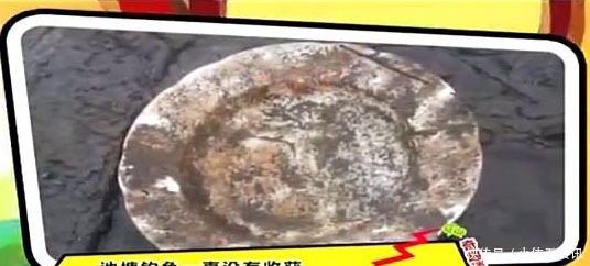  家门口|男子抽干家门口的池塘，准备捞鱼，结果发现惊人财富！