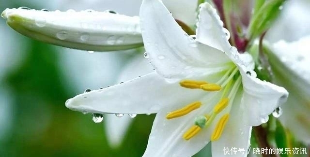 择一人深爱,等一人终老|诗词 | 深爱