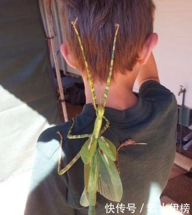  震撼|26张“活久见”的震撼图片，每一张都来之不易