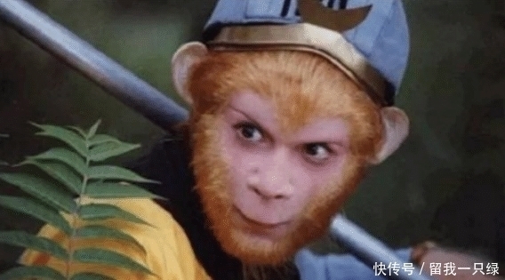  道士|西游最难一关，道祖不敢插手，佛祖更不敢过问，悟空也只好低头