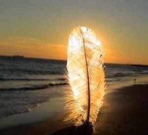 对子女|在这位父亲的绵绵爱意之下,他的9个孩子皆成为国家栋梁之才