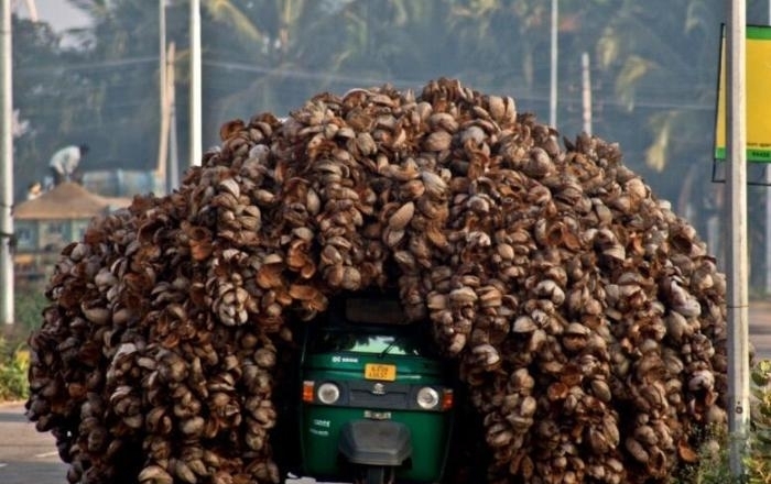  疯狂|全世界疯狂超载的九张照片, 永远不要低估了一颗“挤挤还能装下”的心