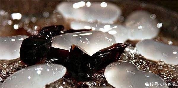 水果|继榴莲后，中国游客在越南疯抢“水椰子”，网友：椰子泡水里了？