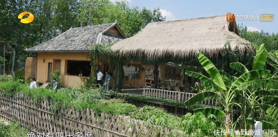 彭昱畅|节目四十度高温,黄磊何炅不想干活,彭昱畅冒险摘椰子背负了太多