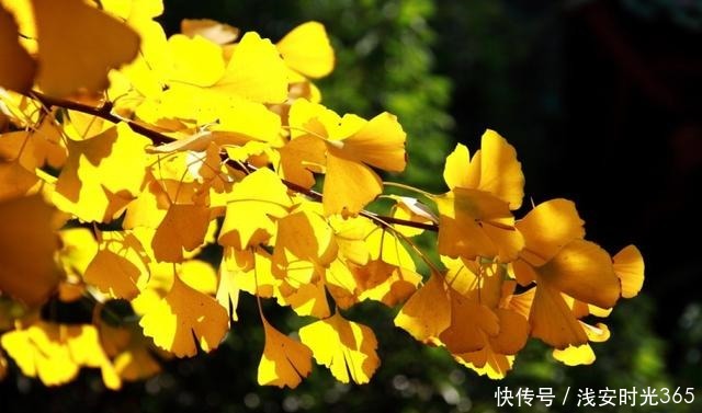 真准|喝一次酒,就看出一个人的性情!真准!(深度好文)