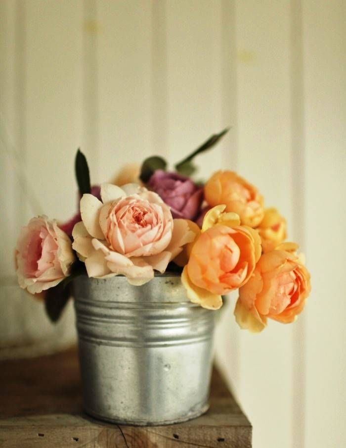 句子|深植人心的感人句子,经典而令人心碎