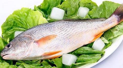 孩子|孩子们吃鱼很聪明,但这三种鱼可能不利于孩子的健康