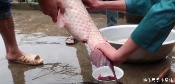 渔民|看到越南渔民的下酒菜，中国吃货表示想吐：谁都不服，就服你们