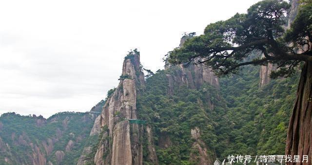 特别|吃杨梅，喝葛和这20道特别的菜，叫做江西三清山