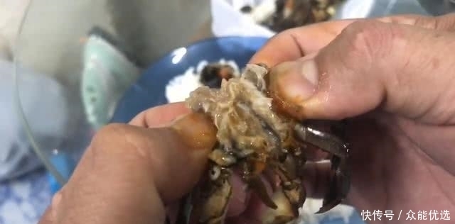 打开|男子捉了15只螃蟹,塞到瓶子里,15天后打开乐坏了!