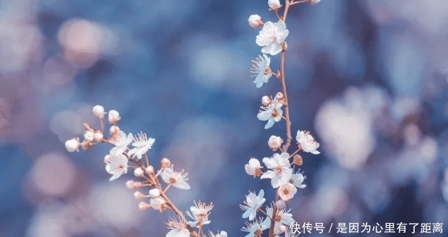 活着|《活着》:只要活着就证明人生还有希望,学会好好珍惜吧