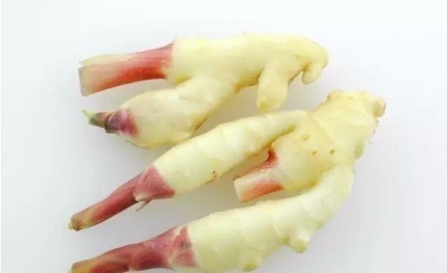 比肉|最好吃的鱼,营养是甲鱼8倍,16块钱一斤,比肉便宜无人买