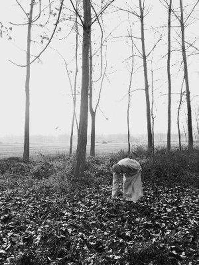  力天佑|杀人犯畏罪潜逃，拍照不露正脸，16年后成高僧，被抓时搜出70万