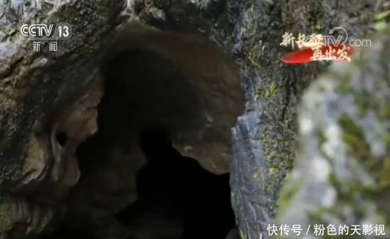 敌人|18岁就成为了师部政委,却授衔为暂授少将,亲自将肩章摘掉不戴