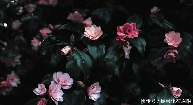 懂得|在你的有生之年,和认识你的人在一起。不管是朋友还是情人