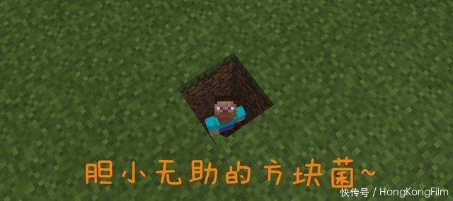 方块菌|《我的世界》老mc住过的六种屋子！每一张图都是曾经难忘的回忆~