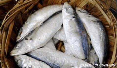 地区|南方人吃了千百年,北方却少有人见过,堪称水中最廉价的鱼