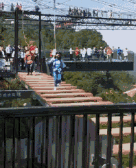 GIF|搞笑GIF:小姐姐别走,我们交个朋友