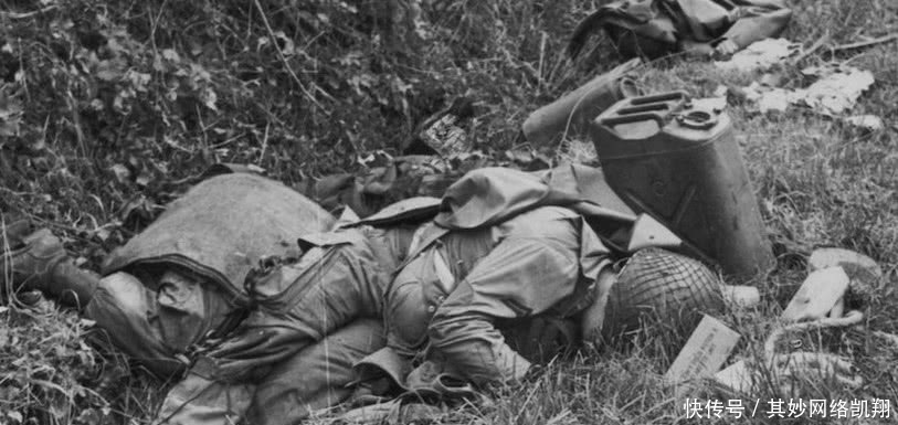第二次世界大战|第二次世界大战中的十件事实，真相让人无法相信