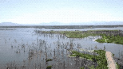 哥们|北京5个好哥们,各分到一栋房子,改造后全火了