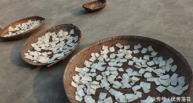  冬季|立秋后，这5种蔬菜，建议一次买20斤，能吃到冬季，炖菜炒肉香