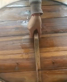  发生|搞笑GIF：当时好像什么都没有发生一样