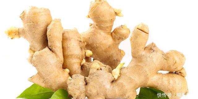 生芽|生姜不要放冰箱保存,教你正确方法,一年都不会生芽,也不干瘪