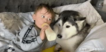  爸爸|小主人把爸爸赶走，却要让二哈陪它睡，场景让人很暖心啊