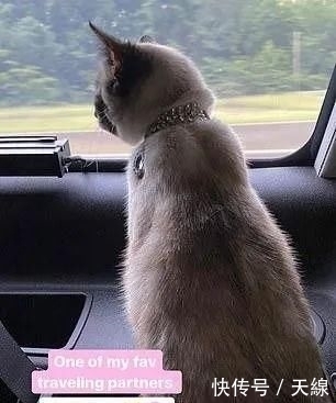  前妻|川普前妻逃离纽约，头发散乱一团糟，带头违反隔离规定