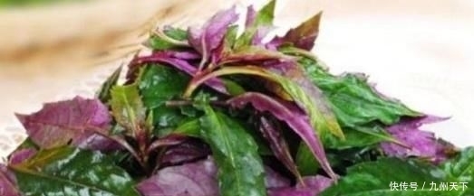 还毒|比毒品还毒的三种蔬菜,大多数人不清楚,其实早被拉入致癌黑名单