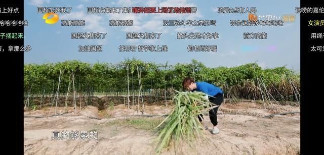 生活|任嘉伦对谭松韵就是不一样,《向往的生活》偷偷发糖戳到我了