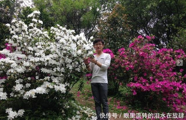 哪种|水果界的“李佳琦”,吃遍3000多种水果,哪种最好吃