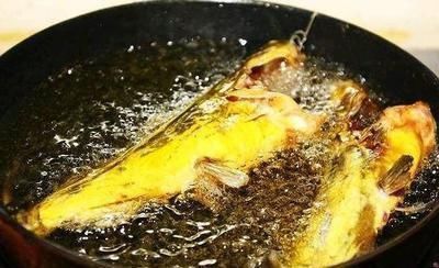 难吃|不管炖什么鱼,都不要放这“两种调料”,否则鱼很腥很难吃